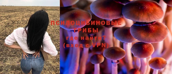 MESCALINE Няндома