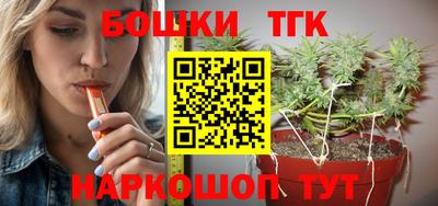 мдпв Гатчина
