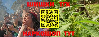 мдпв Гатчина