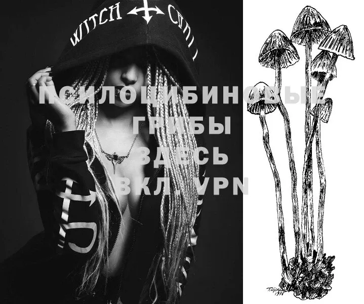 Псилоцибиновые грибы Magic Shrooms Костомукша