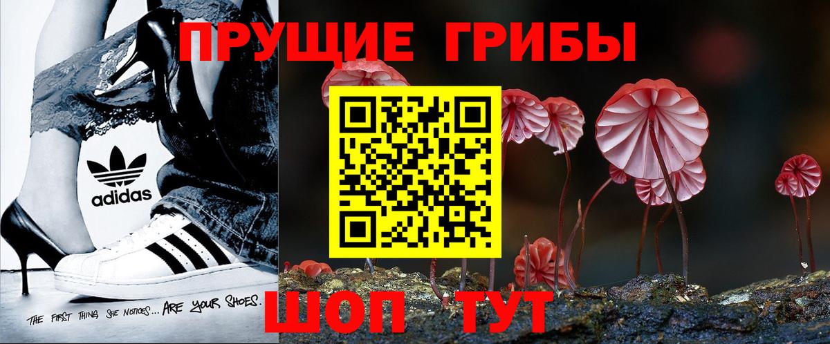Галлюциногенные грибы MAGIC MUSHROOMS  Галлюциногенные грибы MAGIC MUSHROOMS  Костомукша  Вход с VPN 